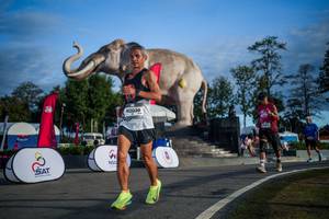 BIB: 
                            <button type="button" onclick="openModal(26541836)" class="btn btn-primary btn-sm float-right btn-popup" data-toggle="modal" data-target=".modal-high-quality">
                        <i class="fas fa-shopping-cart"></i> Add to Cart
                    </button>
                                            <button type="button" onclick="isThisMe(26541836, true)" class="btn btn-success btn-sm float-right btn-popup btn-isme hidden" data-toggle="tooltip" data-placement="bottom" title="นี่คือรูปของคุณใช่ไหม คลิกที่นี่เพื่อเอาเข้าอัลบั้ม">
                        <i class="fas fa-plus"></i> Add to album
                    </button>
                    <button type="button" onclick="isThisMe(26541836, false)" class="btn btn-warning btn-sm float-right btn-popup btn-isnotme hidden">
                        <i class="fas fa-ban"></i> Remove from album
                    </button>